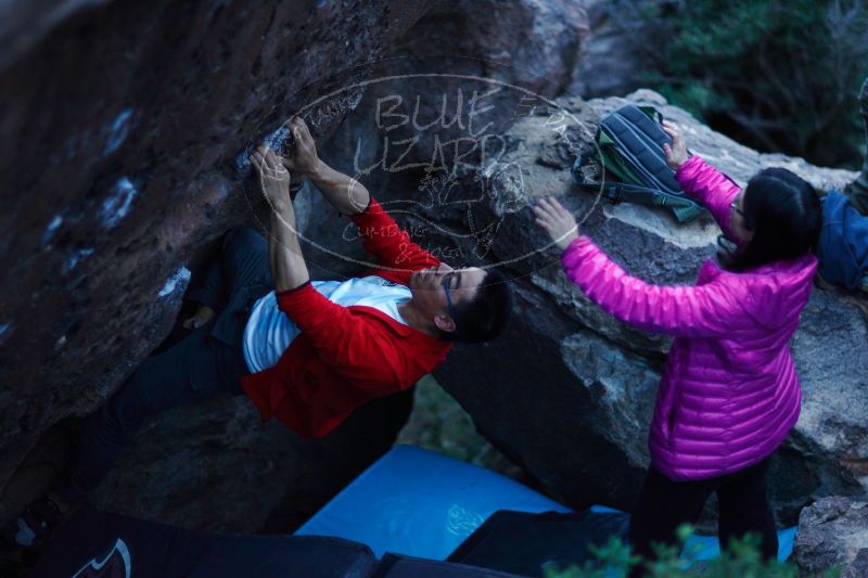 

Filename: SRM_20161228_1926310.jpg
Aperture: f/1.4
Shutter Speed: 1/200
Body: Canon EOS-1D Mark II
Lens: Canon EF 85mm f/1.2 L II