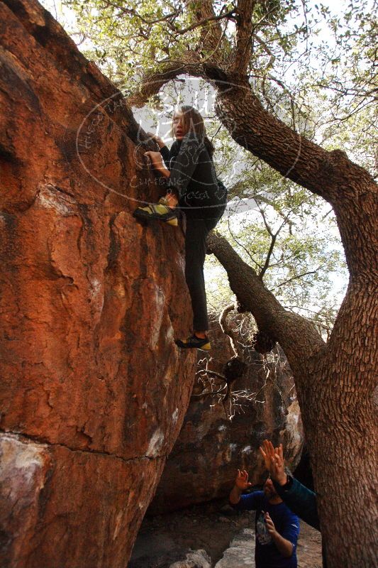 

Filename: SRM_20161228_1213211.jpg
Aperture: f/4.0
Shutter Speed: 1/1600
Body: Canon EOS-1D Mark II
Lens: Canon EF 16-35mm f/2.8 L