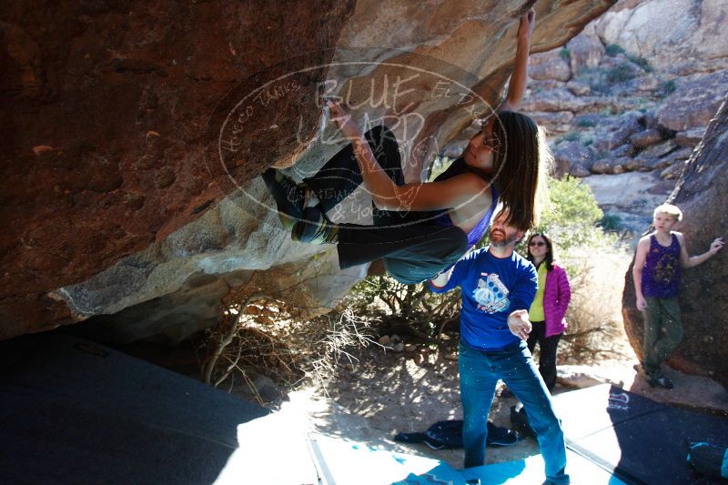 

Filename: SRM_20161228_1253350.jpg
Aperture: f/4.0
Shutter Speed: 1/400
Body: Canon EOS-1D Mark II
Lens: Canon EF 16-35mm f/2.8 L