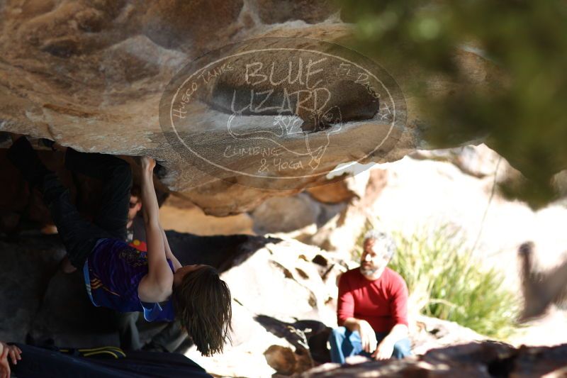 

Filename: SRM_20161228_1355131.jpg
Aperture: f/2.0
Shutter Speed: 1/1000
Body: Canon EOS-1D Mark II
Lens: Canon EF 85mm f/1.2 L II