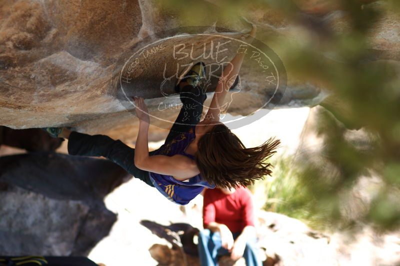 

Filename: SRM_20161228_1355391.jpg
Aperture: f/2.0
Shutter Speed: 1/500
Body: Canon EOS-1D Mark II
Lens: Canon EF 85mm f/1.2 L II