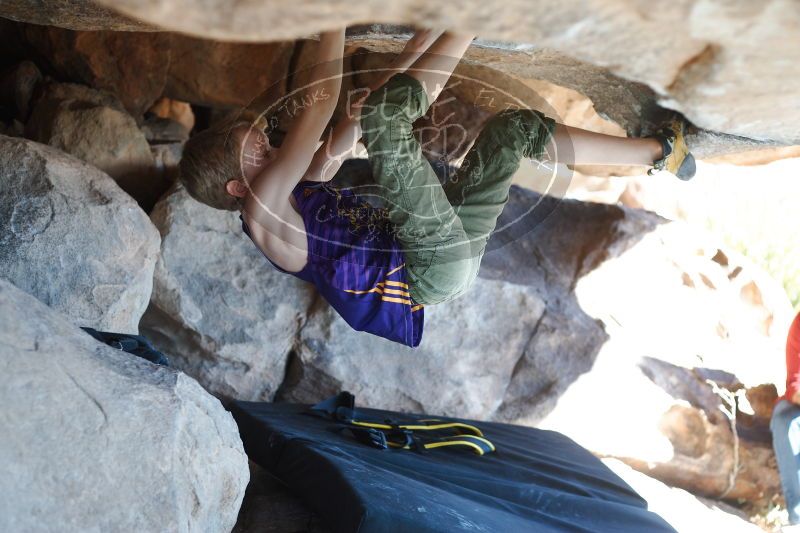 

Filename: SRM_20161228_1358470.jpg
Aperture: f/2.8
Shutter Speed: 1/250
Body: Canon EOS-1D Mark II
Lens: Canon EF 50mm f/1.8 II