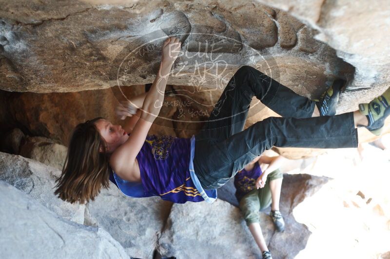 

Filename: SRM_20161228_1400071.jpg
Aperture: f/2.8
Shutter Speed: 1/200
Body: Canon EOS-1D Mark II
Lens: Canon EF 50mm f/1.8 II