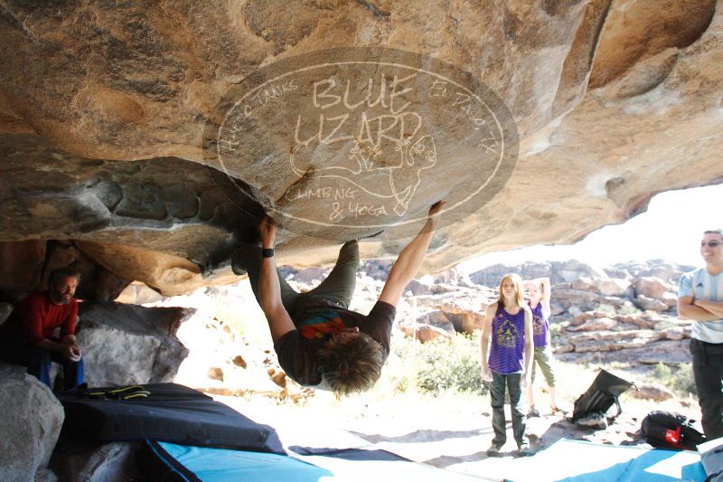 

Filename: SRM_20161228_1407100.jpg
Aperture: f/5.6
Shutter Speed: 1/800
Body: Canon EOS-1D Mark II
Lens: Canon EF 16-35mm f/2.8 L