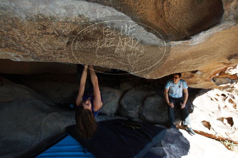 

Filename: SRM_20161228_1409571.jpg
Aperture: f/5.6
Shutter Speed: 1/500
Body: Canon EOS-1D Mark II
Lens: Canon EF 16-35mm f/2.8 L