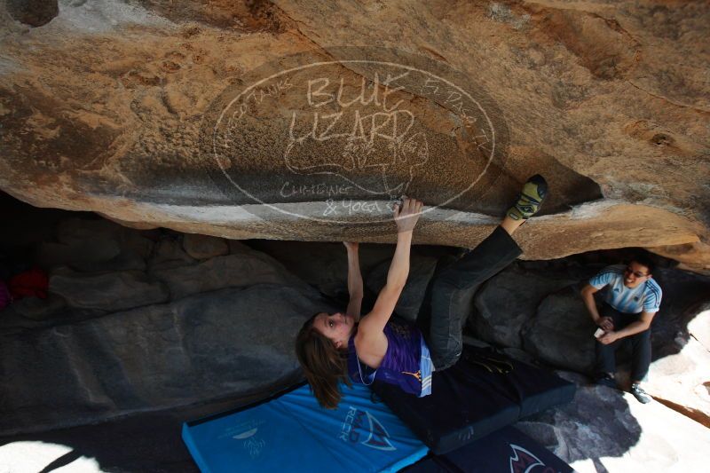 

Filename: SRM_20161228_1410130.jpg
Aperture: f/5.6
Shutter Speed: 1/500
Body: Canon EOS-1D Mark II
Lens: Canon EF 16-35mm f/2.8 L