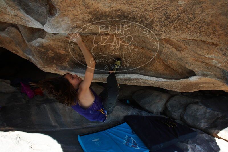 

Filename: SRM_20161228_1413151.jpg
Aperture: f/5.6
Shutter Speed: 1/500
Body: Canon EOS-1D Mark II
Lens: Canon EF 16-35mm f/2.8 L