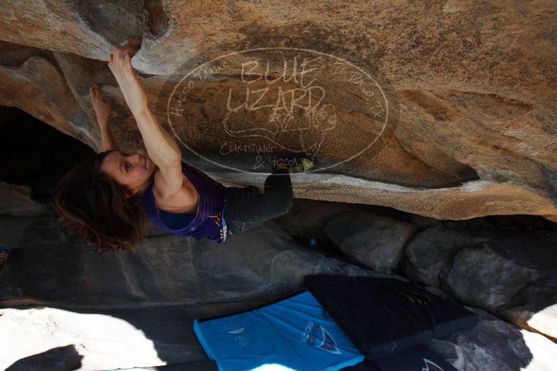 

Filename: SRM_20161228_1413192.jpg
Aperture: f/5.6
Shutter Speed: 1/500
Body: Canon EOS-1D Mark II
Lens: Canon EF 16-35mm f/2.8 L