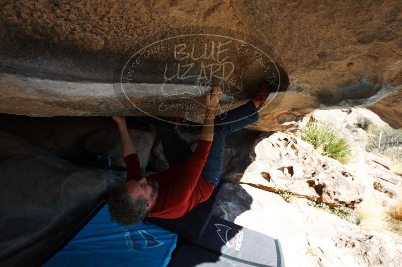 

Filename: SRM_20161228_1419510.jpg
Aperture: f/5.6
Shutter Speed: 1/800
Body: Canon EOS-1D Mark II
Lens: Canon EF 16-35mm f/2.8 L