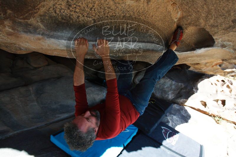 

Filename: SRM_20161228_1420030.jpg
Aperture: f/5.6
Shutter Speed: 1/400
Body: Canon EOS-1D Mark II
Lens: Canon EF 16-35mm f/2.8 L