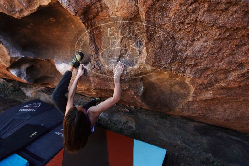 

Filename: SRM_20161228_1448150.jpg
Aperture: f/5.6
Shutter Speed: 1/200
Body: Canon EOS-1D Mark II
Lens: Canon EF 16-35mm f/2.8 L