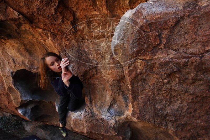 

Filename: SRM_20161228_1501031.jpg
Aperture: f/5.6
Shutter Speed: 1/320
Body: Canon EOS-1D Mark II
Lens: Canon EF 16-35mm f/2.8 L