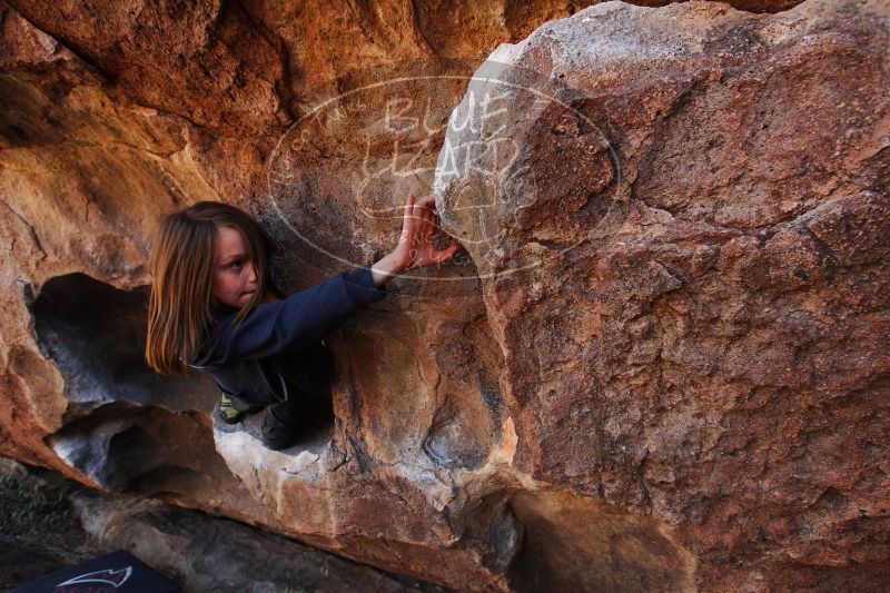 

Filename: SRM_20161228_1501120.jpg
Aperture: f/5.6
Shutter Speed: 1/250
Body: Canon EOS-1D Mark II
Lens: Canon EF 16-35mm f/2.8 L