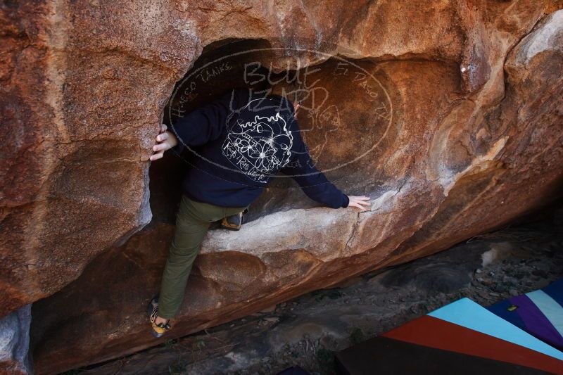 

Filename: SRM_20161228_1506560.jpg
Aperture: f/5.6
Shutter Speed: 1/250
Body: Canon EOS-1D Mark II
Lens: Canon EF 16-35mm f/2.8 L