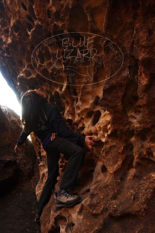 

Filename: SRM_20161228_1615350.jpg
Aperture: f/4.0
Shutter Speed: 1/125
Body: Canon EOS-1D Mark II
Lens: Canon EF 16-35mm f/2.8 L