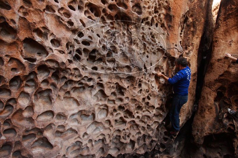 

Filename: SRM_20161228_1618410.jpg
Aperture: f/4.0
Shutter Speed: 1/100
Body: Canon EOS-1D Mark II
Lens: Canon EF 16-35mm f/2.8 L