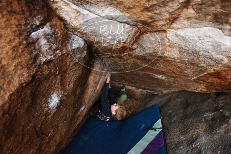 

Filename: SRM_20161228_1738151.jpg
Aperture: f/3.5
Shutter Speed: 1/250
Body: Canon EOS-1D Mark II
Lens: Canon EF 16-35mm f/2.8 L