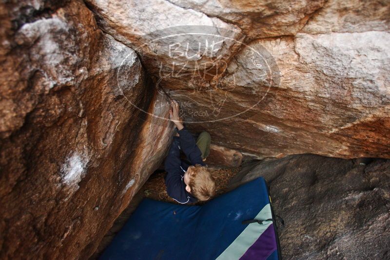 

Filename: SRM_20161228_1738180.jpg
Aperture: f/3.5
Shutter Speed: 1/200
Body: Canon EOS-1D Mark II
Lens: Canon EF 16-35mm f/2.8 L