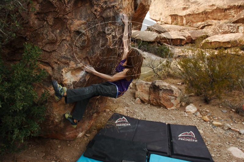 

Filename: SRM_20161228_1802241.jpg
Aperture: f/5.0
Shutter Speed: 1/320
Body: Canon EOS-1D Mark II
Lens: Canon EF 16-35mm f/2.8 L