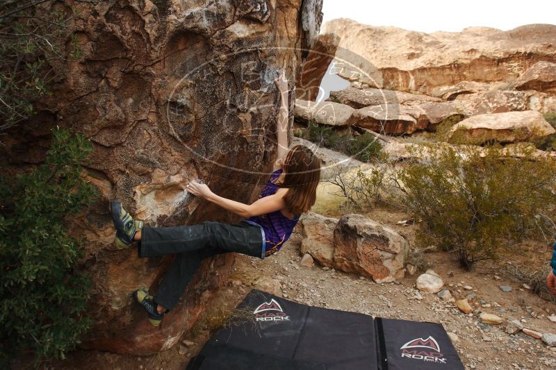 

Filename: SRM_20161228_1802242.jpg
Aperture: f/5.0
Shutter Speed: 1/320
Body: Canon EOS-1D Mark II
Lens: Canon EF 16-35mm f/2.8 L