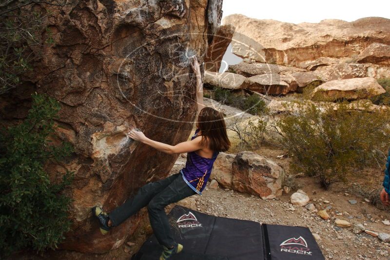 

Filename: SRM_20161228_1802243.jpg
Aperture: f/5.0
Shutter Speed: 1/320
Body: Canon EOS-1D Mark II
Lens: Canon EF 16-35mm f/2.8 L