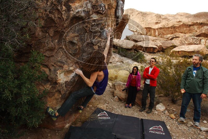 

Filename: SRM_20161228_1803340.jpg
Aperture: f/5.0
Shutter Speed: 1/400
Body: Canon EOS-1D Mark II
Lens: Canon EF 16-35mm f/2.8 L