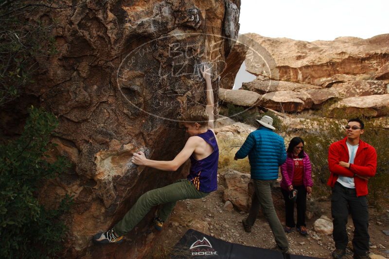 

Filename: SRM_20161228_1804350.jpg
Aperture: f/5.0
Shutter Speed: 1/400
Body: Canon EOS-1D Mark II
Lens: Canon EF 16-35mm f/2.8 L