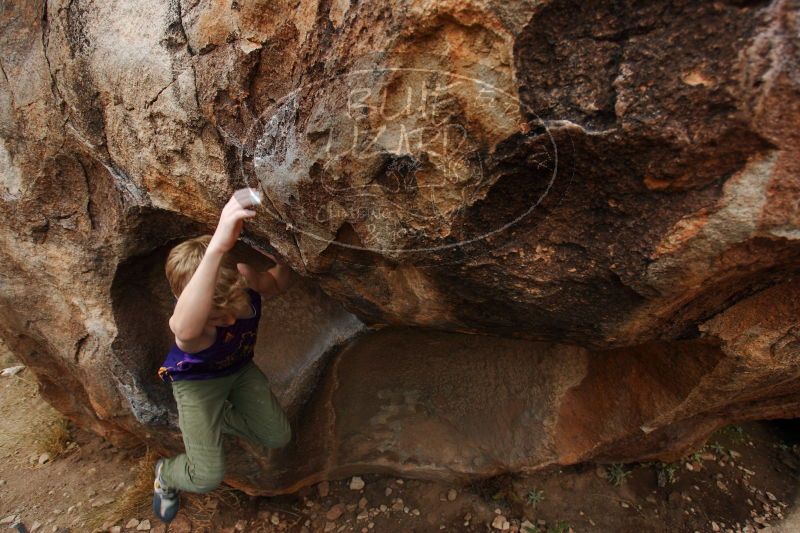 

Filename: SRM_20161228_1811190.jpg
Aperture: f/4.0
Shutter Speed: 1/320
Body: Canon EOS-1D Mark II
Lens: Canon EF 16-35mm f/2.8 L