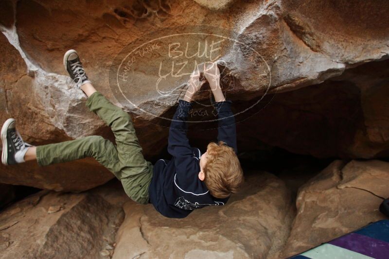 

Filename: SRM_20161228_1831180.jpg
Aperture: f/4.0
Shutter Speed: 1/200
Body: Canon EOS-1D Mark II
Lens: Canon EF 16-35mm f/2.8 L