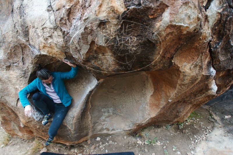 

Filename: SRM_20161230_1251250.jpg
Aperture: f/3.5
Shutter Speed: 1/250
Body: Canon EOS-1D Mark II
Lens: Canon EF 16-35mm f/2.8 L