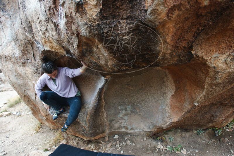 

Filename: SRM_20161230_1253260.jpg
Aperture: f/4.5
Shutter Speed: 1/250
Body: Canon EOS-1D Mark II
Lens: Canon EF 16-35mm f/2.8 L