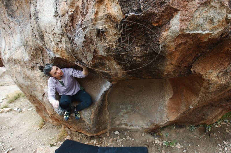 

Filename: SRM_20161230_1256520.jpg
Aperture: f/6.3
Shutter Speed: 1/250
Body: Canon EOS-1D Mark II
Lens: Canon EF 16-35mm f/2.8 L