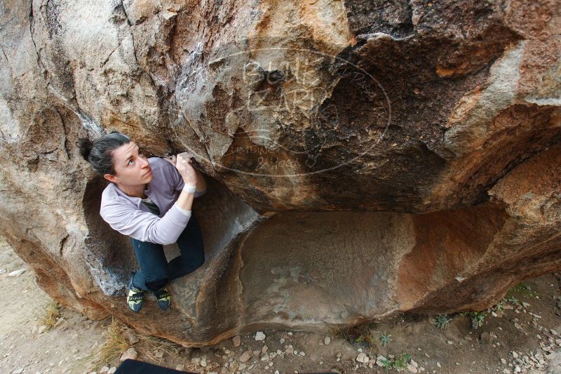 

Filename: SRM_20161230_1256551.jpg
Aperture: f/6.3
Shutter Speed: 1/250
Body: Canon EOS-1D Mark II
Lens: Canon EF 16-35mm f/2.8 L