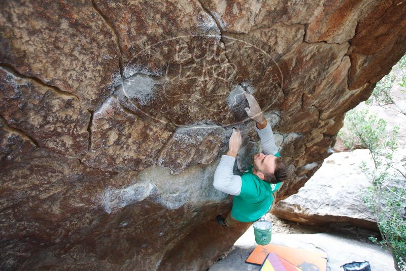 

Filename: SRM_20161230_1338510.jpg
Aperture: f/3.2
Shutter Speed: 1/250
Body: Canon EOS-1D Mark II
Lens: Canon EF 16-35mm f/2.8 L