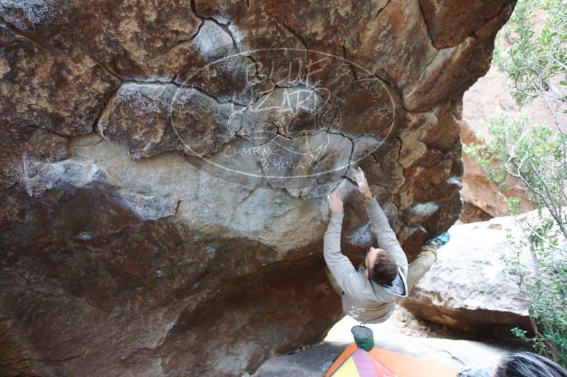 

Filename: SRM_20161230_1348241.jpg
Aperture: f/3.5
Shutter Speed: 1/250
Body: Canon EOS-1D Mark II
Lens: Canon EF 16-35mm f/2.8 L