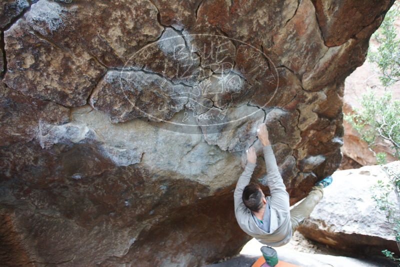 

Filename: SRM_20161230_1348260.jpg
Aperture: f/3.2
Shutter Speed: 1/250
Body: Canon EOS-1D Mark II
Lens: Canon EF 16-35mm f/2.8 L