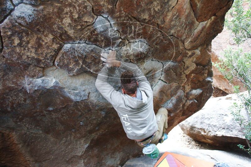 

Filename: SRM_20161230_1348412.jpg
Aperture: f/3.5
Shutter Speed: 1/250
Body: Canon EOS-1D Mark II
Lens: Canon EF 16-35mm f/2.8 L