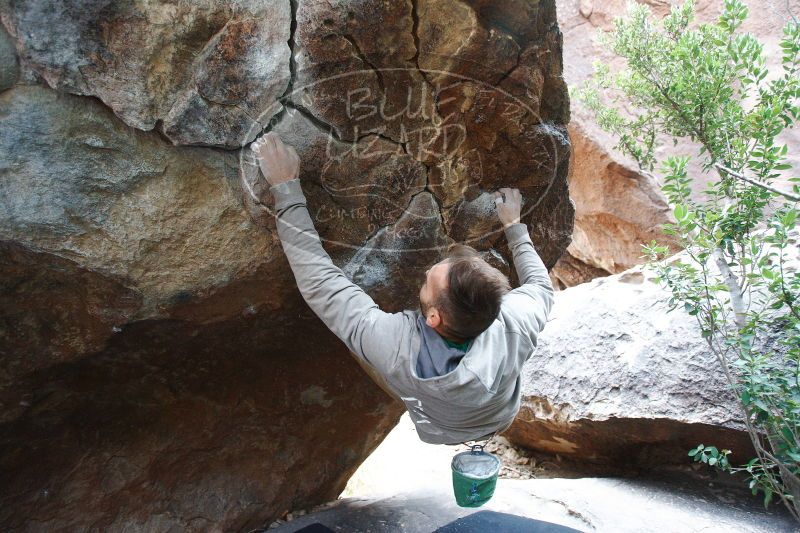 

Filename: SRM_20161230_1432591.jpg
Aperture: f/3.5
Shutter Speed: 1/250
Body: Canon EOS-1D Mark II
Lens: Canon EF 16-35mm f/2.8 L