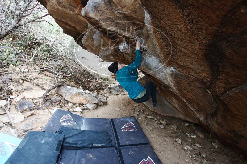 

Filename: SRM_20161230_1539531.jpg
Aperture: f/4.0
Shutter Speed: 1/250
Body: Canon EOS-1D Mark II
Lens: Canon EF 16-35mm f/2.8 L