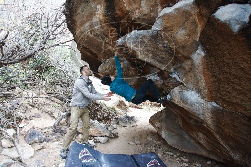 

Filename: SRM_20161230_1540130.jpg
Aperture: f/4.0
Shutter Speed: 1/250
Body: Canon EOS-1D Mark II
Lens: Canon EF 16-35mm f/2.8 L