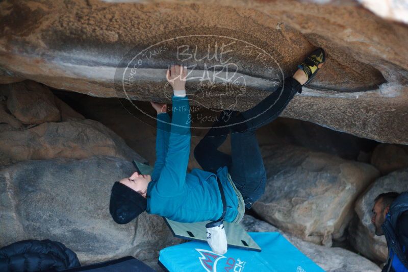 

Filename: SRM_20161230_1800000.jpg
Aperture: f/2.0
Shutter Speed: 1/400
Body: Canon EOS-1D Mark II
Lens: Canon EF 50mm f/1.8 II