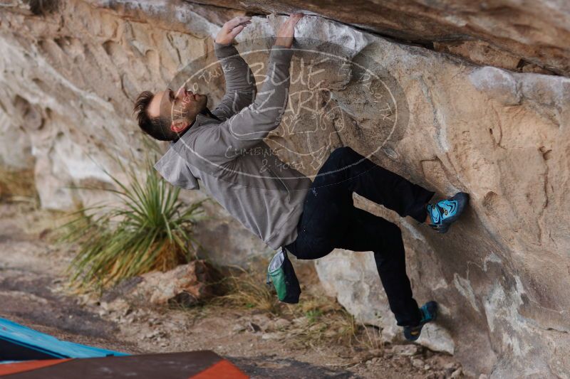 

Filename: SRM_20161229_1126490.jpg
Aperture: f/2.0
Shutter Speed: 1/640
Body: Canon EOS-1D Mark II
Lens: Canon EF 85mm f/1.2 L II