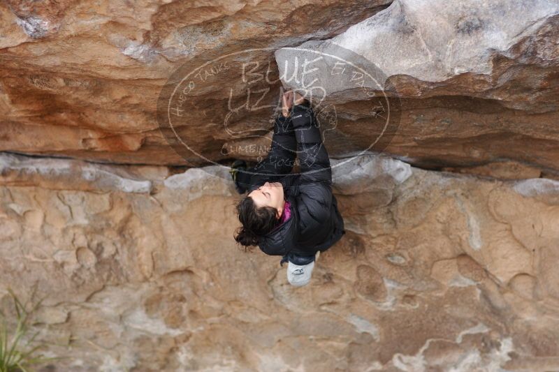 

Filename: SRM_20161229_1146382.jpg
Aperture: f/2.0
Shutter Speed: 1/500
Body: Canon EOS-1D Mark II
Lens: Canon EF 85mm f/1.2 L II