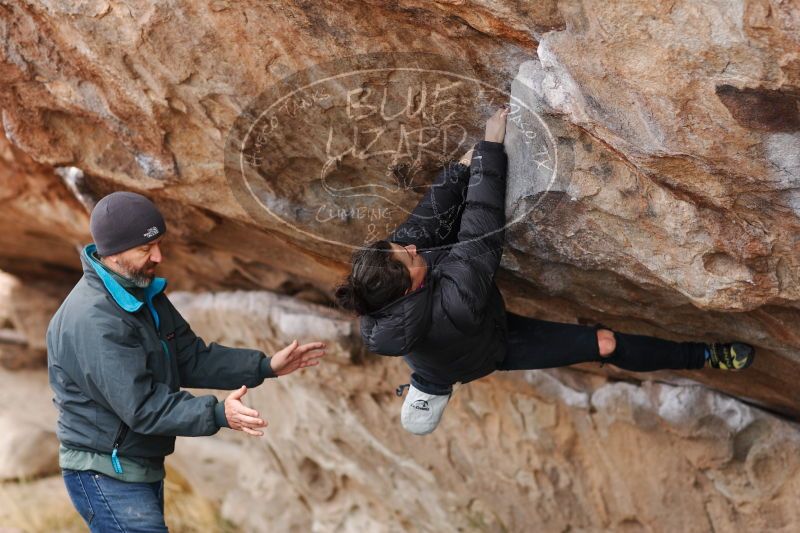 

Filename: SRM_20161229_1153260.jpg
Aperture: f/2.8
Shutter Speed: 1/320
Body: Canon EOS-1D Mark II
Lens: Canon EF 85mm f/1.2 L II