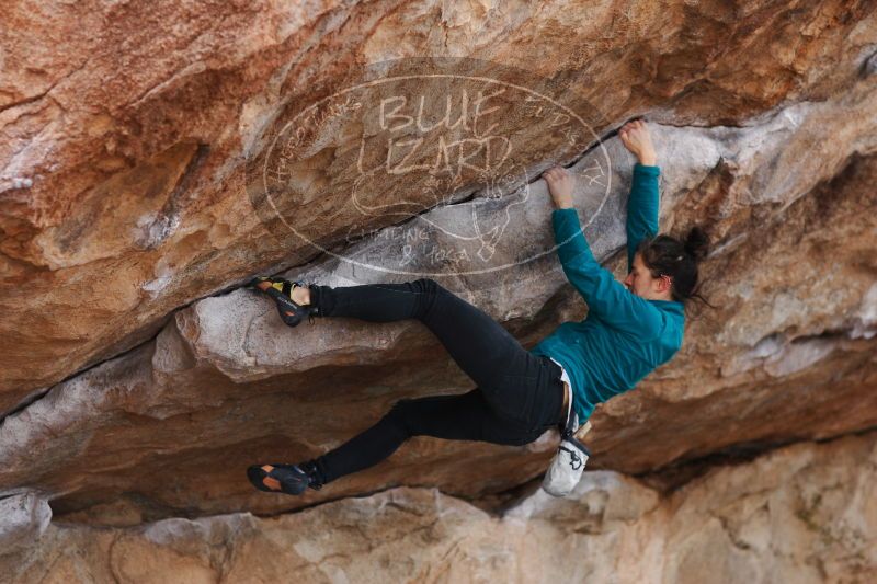 

Filename: SRM_20161229_1200380.jpg
Aperture: f/2.8
Shutter Speed: 1/400
Body: Canon EOS-1D Mark II
Lens: Canon EF 85mm f/1.2 L II