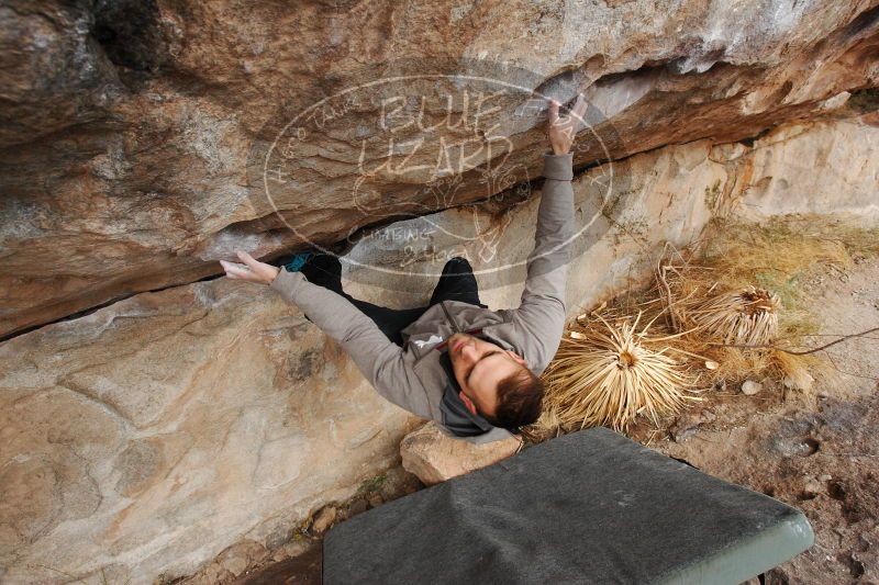 

Filename: SRM_20161229_1212240.jpg
Aperture: f/5.6
Shutter Speed: 1/400
Body: Canon EOS-1D Mark II
Lens: Canon EF 16-35mm f/2.8 L