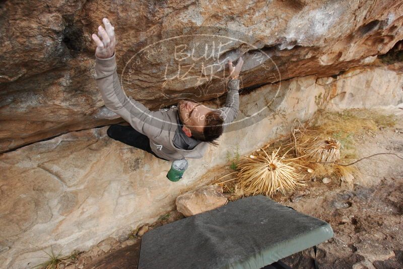 

Filename: SRM_20161229_1212260.jpg
Aperture: f/5.6
Shutter Speed: 1/400
Body: Canon EOS-1D Mark II
Lens: Canon EF 16-35mm f/2.8 L