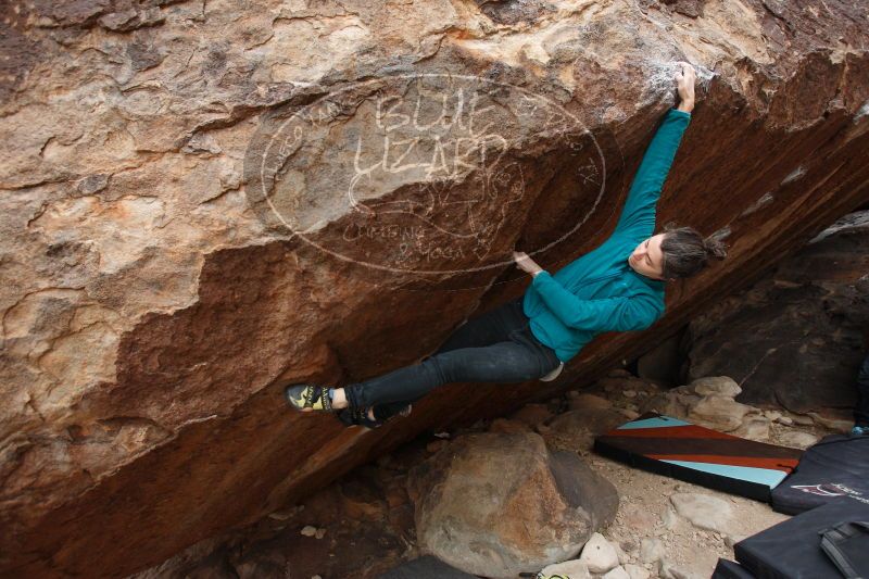 

Filename: SRM_20161229_1252190.jpg
Aperture: f/4.0
Shutter Speed: 1/320
Body: Canon EOS-1D Mark II
Lens: Canon EF 16-35mm f/2.8 L