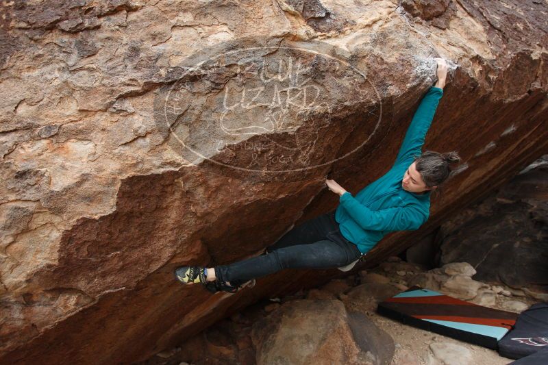 

Filename: SRM_20161229_1252210.jpg
Aperture: f/4.0
Shutter Speed: 1/320
Body: Canon EOS-1D Mark II
Lens: Canon EF 16-35mm f/2.8 L