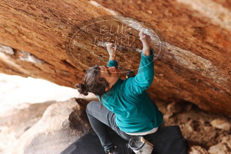 

Filename: SRM_20161229_1322240.jpg
Aperture: f/2.2
Shutter Speed: 1/500
Body: Canon EOS-1D Mark II
Lens: Canon EF 85mm f/1.2 L II